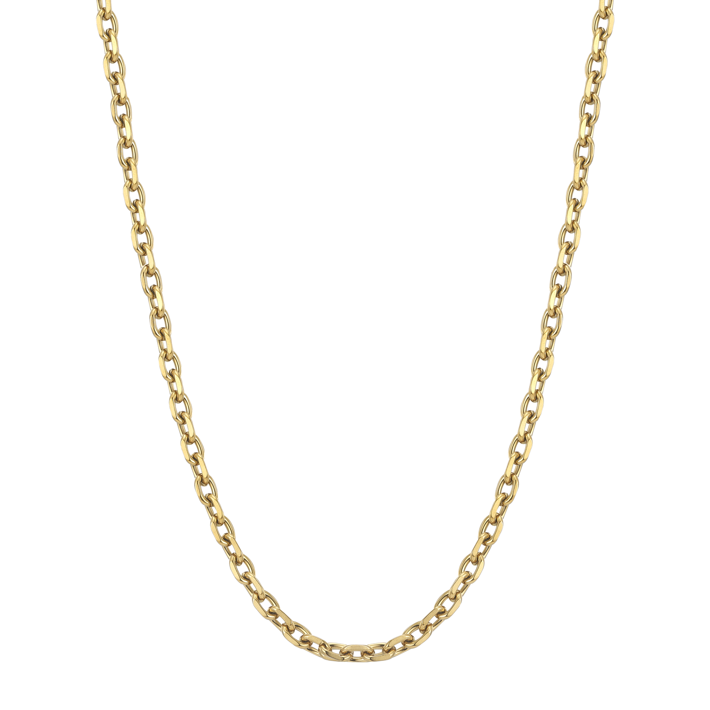 HUDSON CHAIN | GOLD TONE