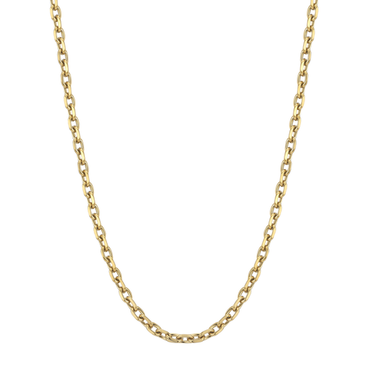 HUDSON CHAIN | GOLD TONE
